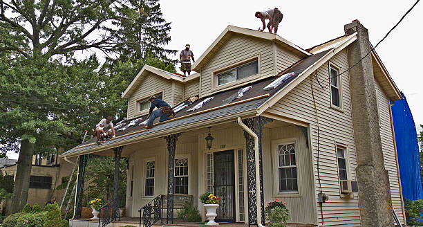 Best Flat Roof Repair Services  in Kalispell, MT